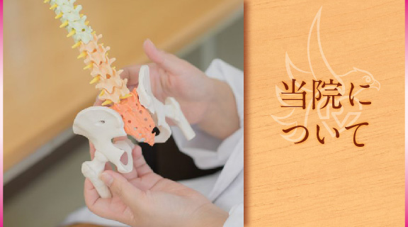 当院について